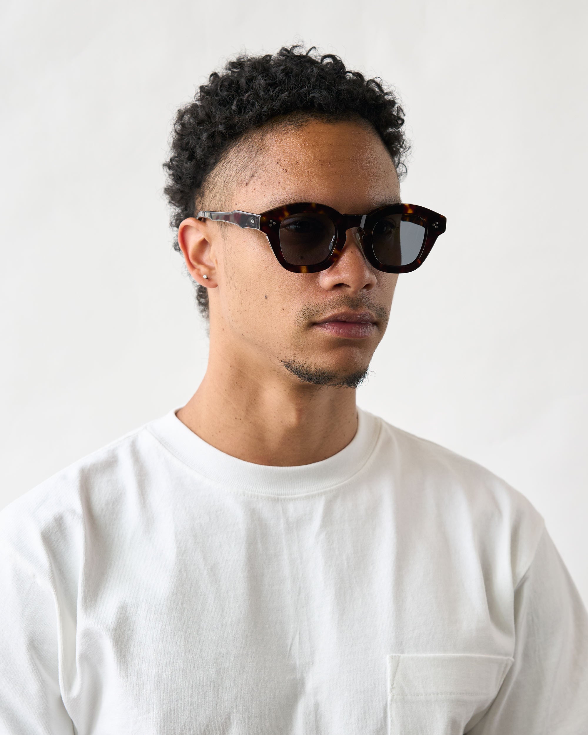 Marc - Tortoise
