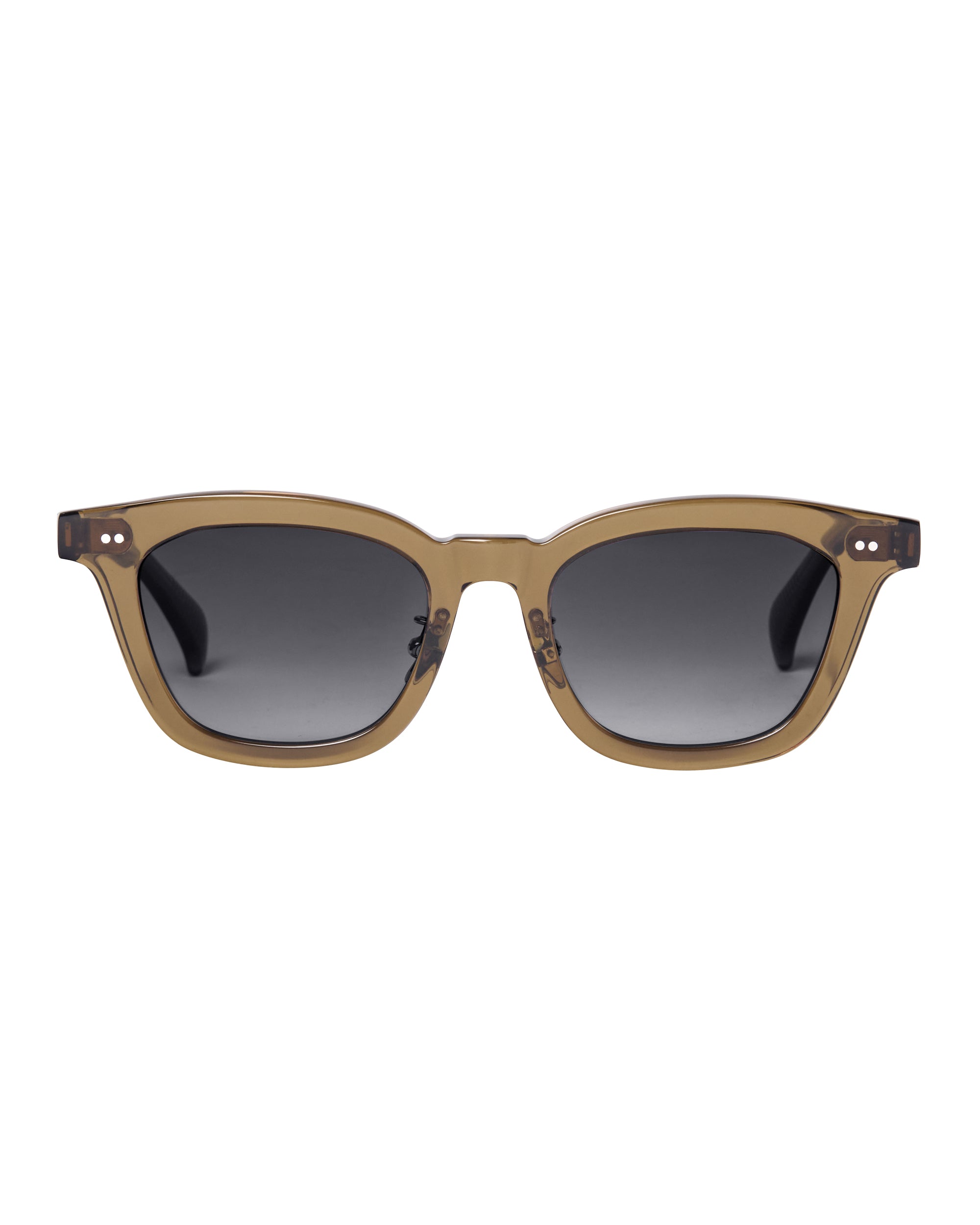 Olive eyewear hotsell